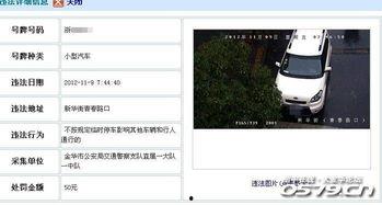 金华爆料完整视频,揭秘事件真相，还原现场细节